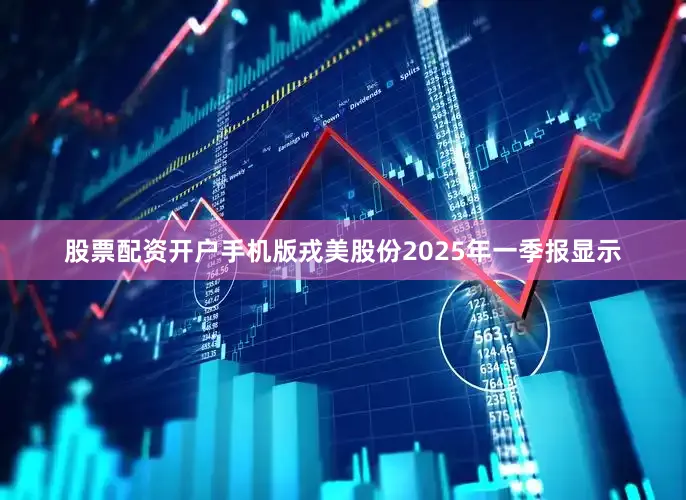 股票配资开户手机版戎美股份2025年一季报显示