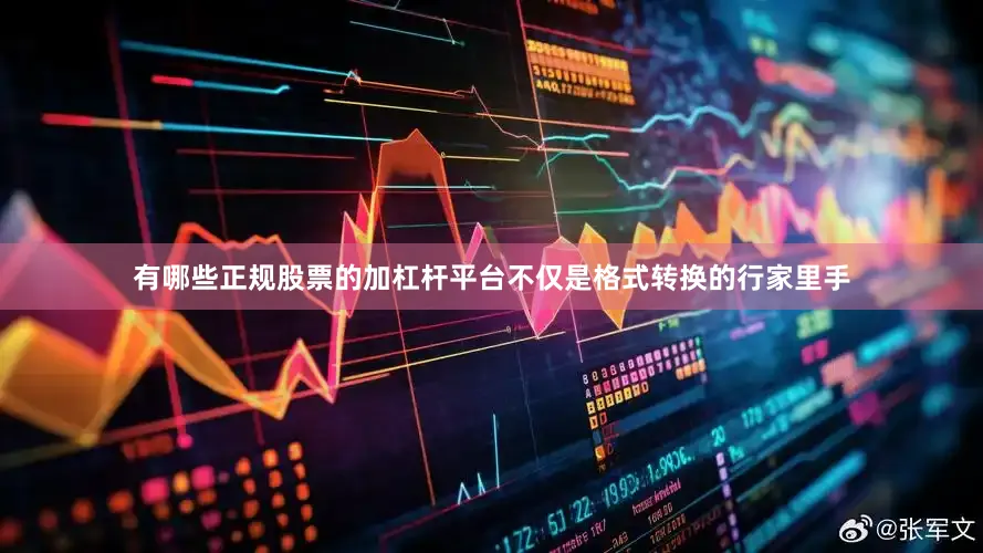 有哪些正规股票的加杠杆平台不仅是格式转换的行家里手