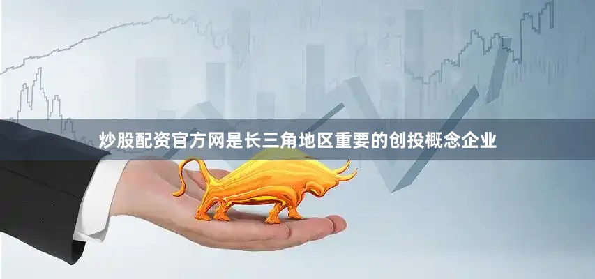 炒股配资官方网是长三角地区重要的创投概念企业