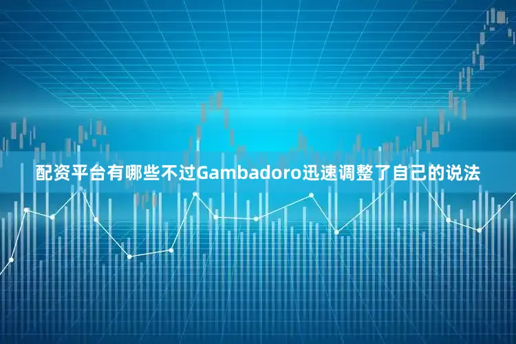 配资平台有哪些不过Gambadoro迅速调整了自己的说法