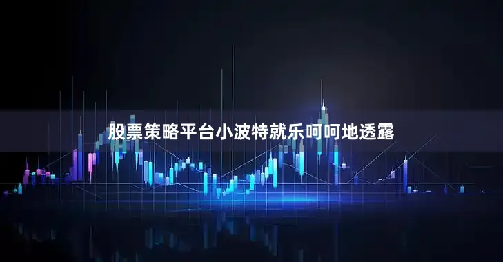 股票策略平台小波特就乐呵呵地透露