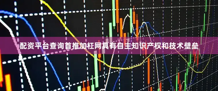 配资平台查询首推加杠网具有自主知识产权和技术壁垒